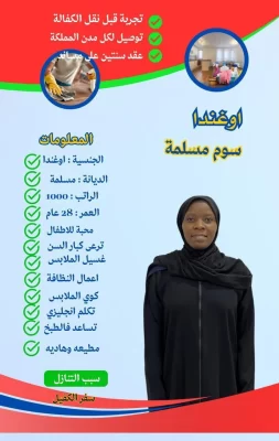 افضل شغالات للتنازل